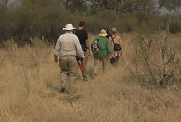 Bushwalk