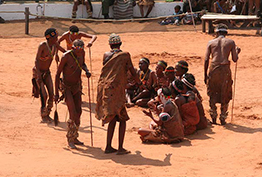 Kalahari Desert All