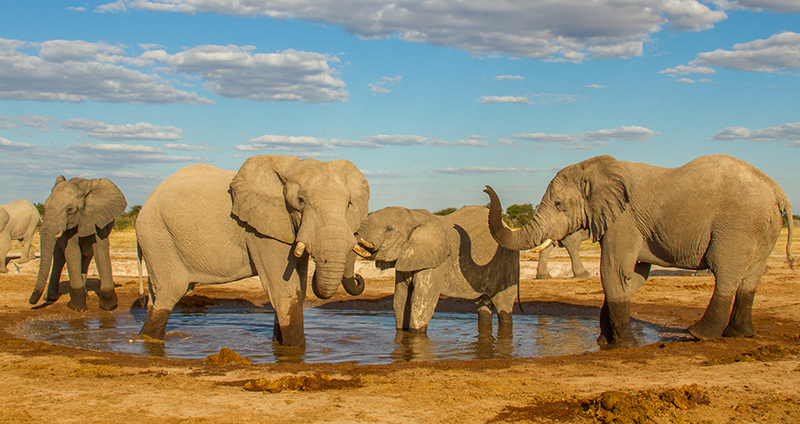 MARVELOUS SALT PAN EXPERIENCE